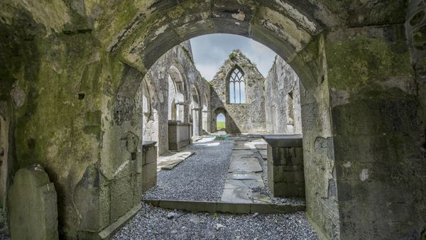 Rovine del convento Ross Errilly, Contea di Galway, Irlanda