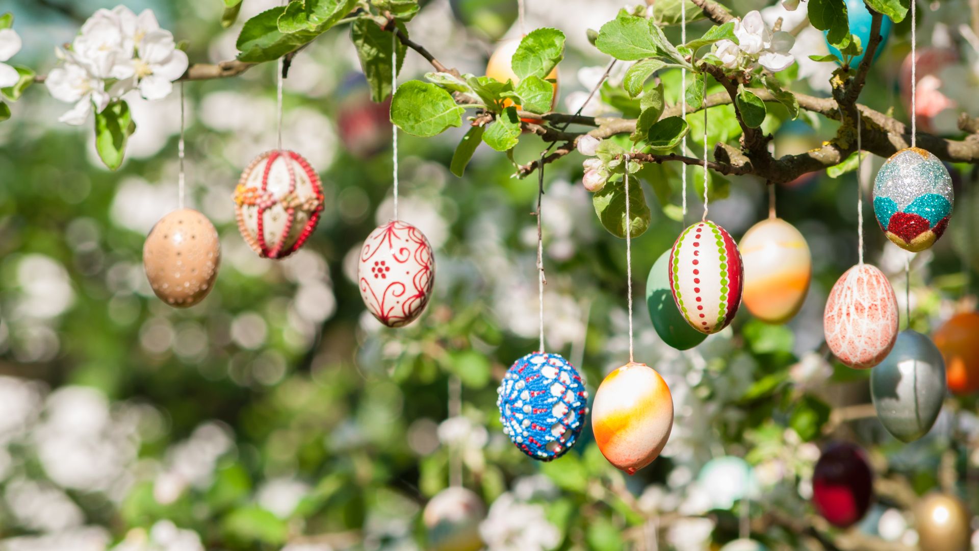 Viele bunt bemalte Ostereier an einem Apfelbaum