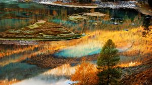 秋日湖面上，多彩树木的倒影 (© MelindaChan/Flickr/Getty Images)(Bing China)