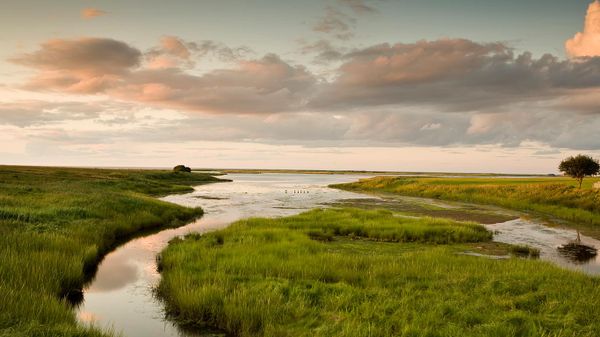 Marshland in Shediac, New Brunswick, Canada
