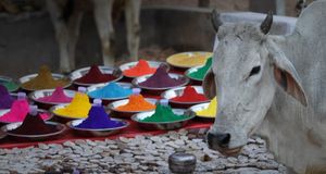Indian town of Orai in Uttar Pradesh around the time of Holi festival -- Joanna Chick &copy; (Bing Australia)