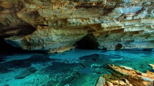 查帕达迪亚曼蒂纳国家公园，巴伊亚州，巴西 (© Marcio Dufranc/Getty Images)(Bing China)