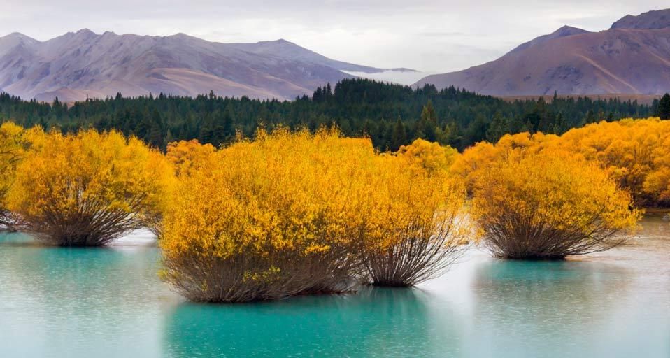 Glacier-fed lake, South Island, New Zealand