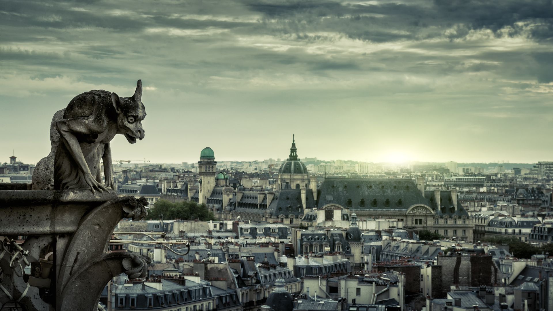 Chimera della Cattedrale di Notre-Dame, Parigi, Francia