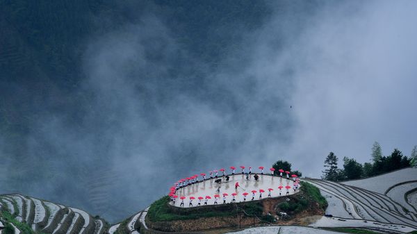 【今日谷雨】平安村种植节期间龙胜梯田的忙碌景象