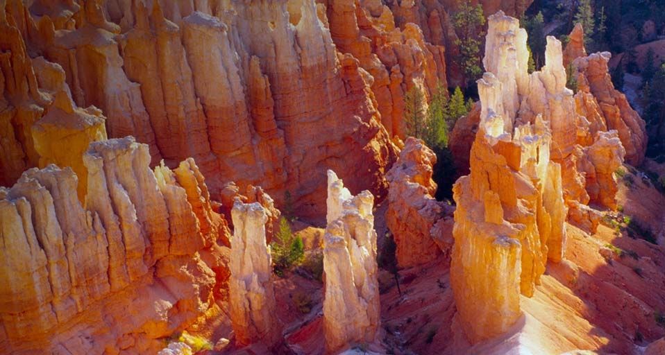 Amphitheater, Bryce Canyon National Park, Utah, USA