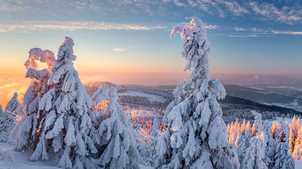 Wintermorgen am Großen Arber, Bayern, Deutschland