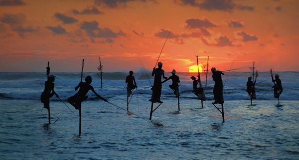 Traditional fishermen standing on a stilts in the sea in Sri Lanka