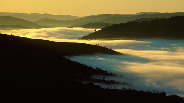 Mist in a valley near Bathurst in New South Wales, Australia