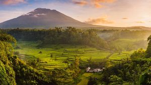 Rice fields in the Sidemen Valley with Mount Agung in the background, Bali, Indonesia (© Jon Arnold/Danita Delimont)(Bing New Zealand)
