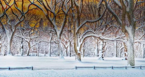 CentralParkSnow