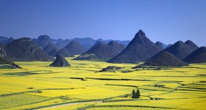 Field mustard field and Kinkei peak, Luoping, Yunnan province, China -- JTB Photo/Photolibrary &copy; (Bing New Zealand)