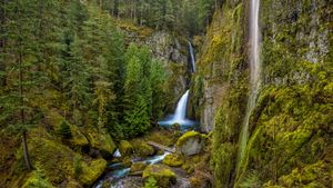 Wahclella Falls in the Columbia River Gorge, Oregon (© Eric Vogt/Tandem Stills + Motion)(Bing Australia)