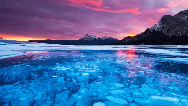 Bubbles in the ice of Abraham Lake in Alberta, Canada