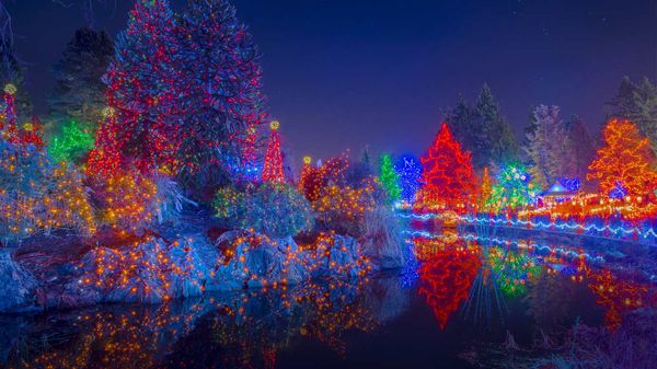 Festival of Lights at VanDusen Botanical Garden, Vancouver, British Columbia, Canada