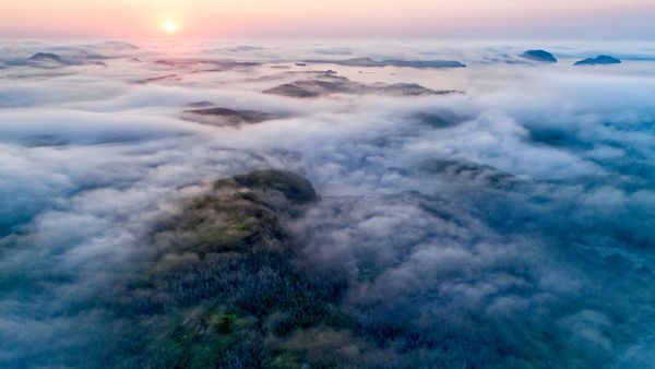 Fog along the coast, Newfoundland, Canada