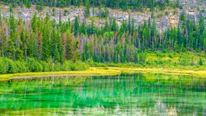 ジャスパー国立公園, カナダ (© Don White/Getty Images)(Bing Japan)