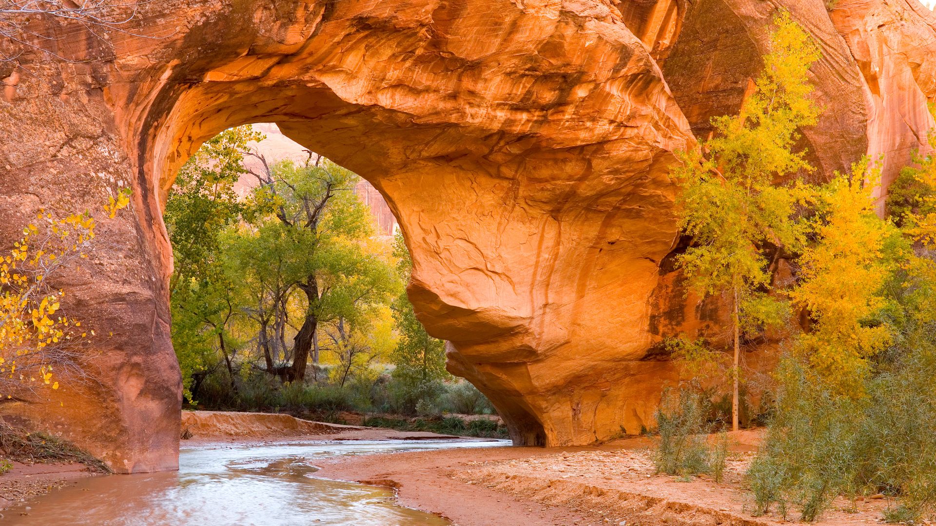 Cottonwoods through an arch in Coyote Gulch, Glen Canyon Recreation Area, Utah, USA