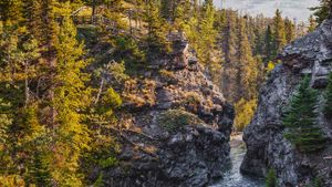 Blakiston falls, Waterton Lakes National Park, Alberta (© Scott Bennie/Shutterstock)(Bing Canada)