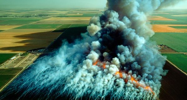 Aerial view, wheat field stubble burn, Kansas