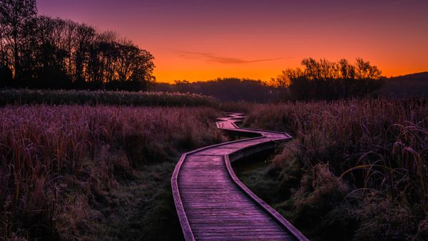 Stairway to Heaven trail, Wawayanda State Park, New Jersey, USA