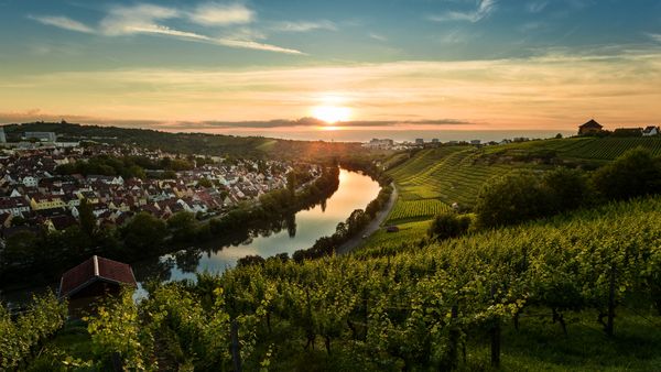 Sunset over the vineyards of Steinhaldenfeld, Neckar valley, Stuttgart, Germany