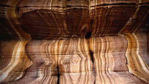 Fossil studded sandstone on Maria Island, Tasmania, Australia (© Chris Klep/Getty Images)(Bing Australia)
