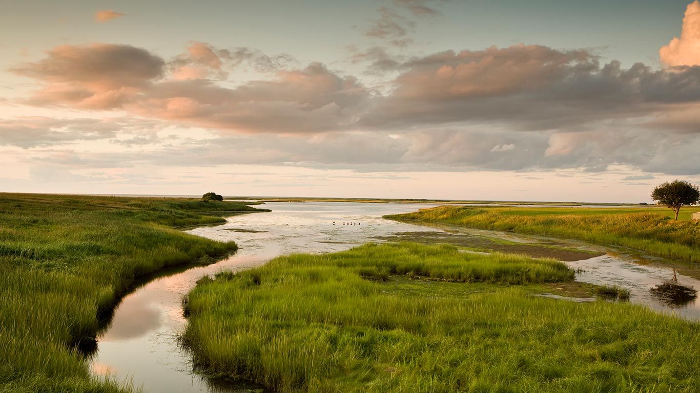 Marshland in Shediac, New Brunswick, Canada