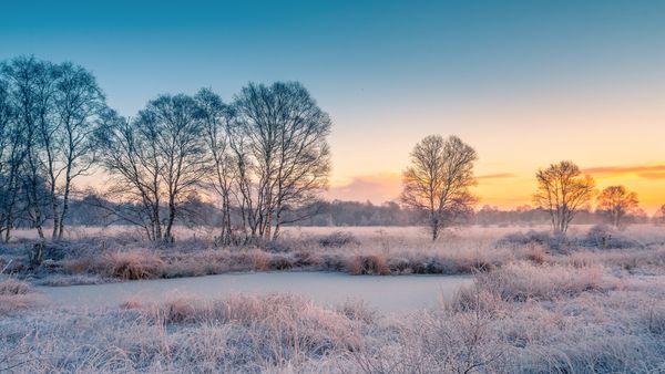 Schneebedecktes Feld bei Sonnenuntergang, Ostfriesland, Niedersachsen