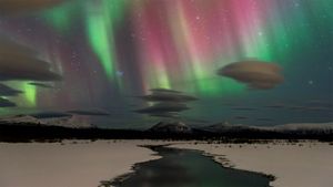 Northern lights near Whitehorse in Yukon, Canada (© Design Pics/Danita Delimont)(Bing Australia)