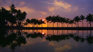 Kona Coast, Big Island, Hawaii (© Bob Glusic/Wilderness Video)(Bing United States)