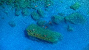 意大利西西里岛，第勒尼安海海域上的卡波多尔兰多海岸线 (© Antonino Bartuccio/SIME/4Corners)(Bing China)