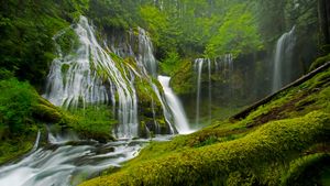 春天的豹溪瀑布，吉福德·平肖国家森林，美国华盛顿州 (© Stephen Matera/Tandem Stills + Motion)(Bing China)