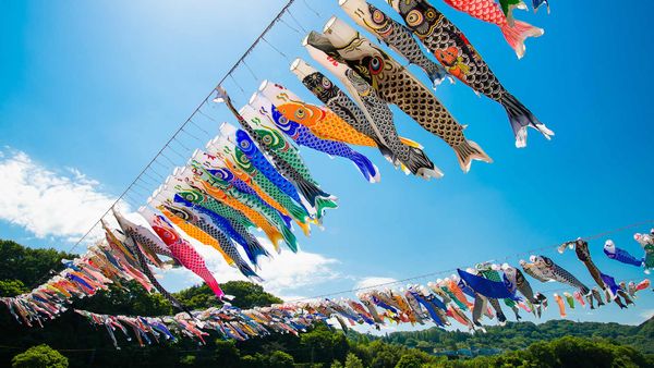 ｢泳げ鯉のぼり相模川｣神奈川, 相模原市