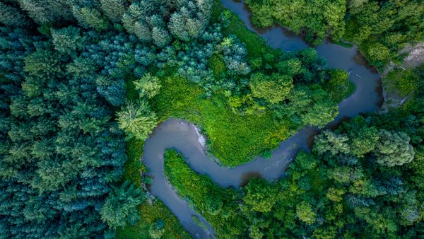Humber River winding through Boyd Conservation Area, Woodbridge, Vaughan, Ontario