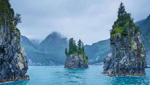 基奈峡湾国家公园的尖顶湾，阿拉斯加 (© Sekar B/Shutterstock)(Bing China)