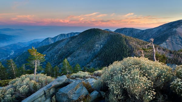 Vetta della Pine Mountain, Foresta Nazionale di Angeles, California, USA
