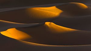 Últimos rayos de sol sobre un grupo de dunas, Sáhara, Argelia (© AWL Images/DanitaDelimont.com)(Bing España)