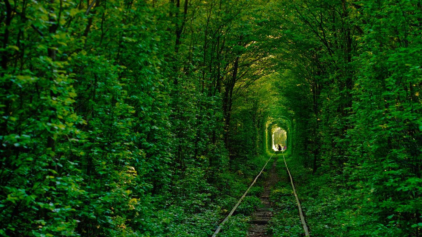 ｢愛のトンネル｣ウクライナ, クレーヴェン