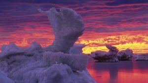 Ice flows on Hudson Bay, Churchill, Manitoba, Canada (© Mike Grandmaison/All Canada Photos/SuperStock)(Bing New Zealand)
