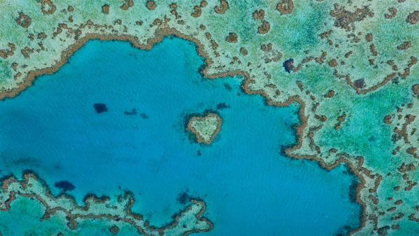 Heart Reef, part of the Great Barrier Reef off Queensland, Australia
