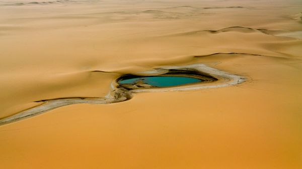 Accumulation of rain water in the Sahara Desert, east of the Aïr Mountains, Niger