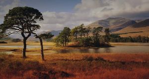 「タラ湖」イギリス, スコットランド -- Gavin Hellier/Photolibrary &copy; (Bing Japan)