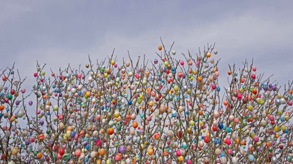 An Ostereierbaum (Easter egg tree) in Saalfeld, Germany