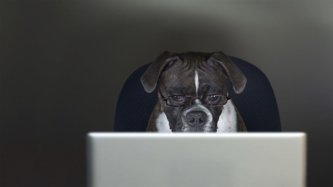 ｢犬を職場に連れていく日｣