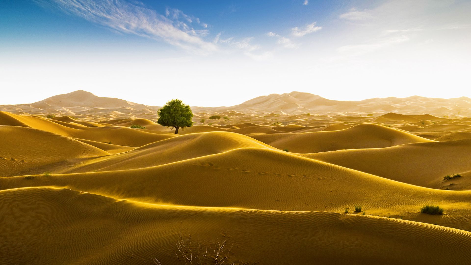 Rub\' al Khali desert on the border of Oman and the Emirate of Dubai