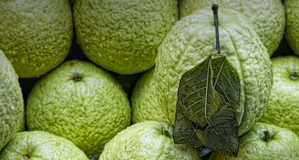 Guavas