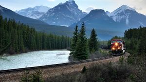 Train passing through Banff National Park, Banff, Alta. (© Gallery Stock)(Bing Canada)