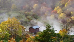 玉川温泉, 秋田県 仙北市 (© jiraphoto/Shutterstock)(Bing Japan)