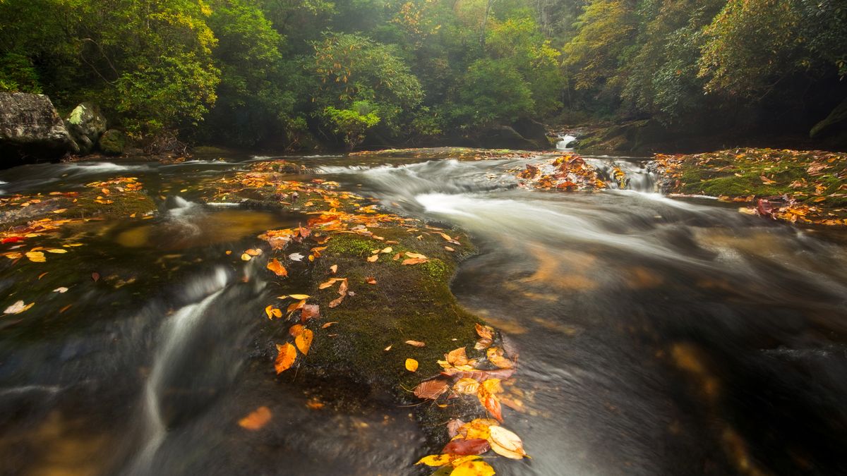 Chattooga River in the Appalachian Mountains, North Carolina